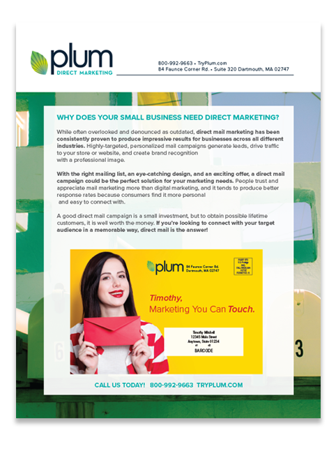 marketing agency flyer plum-direct-mail