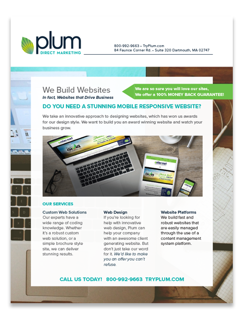 marketing agency flyer plum builds websites